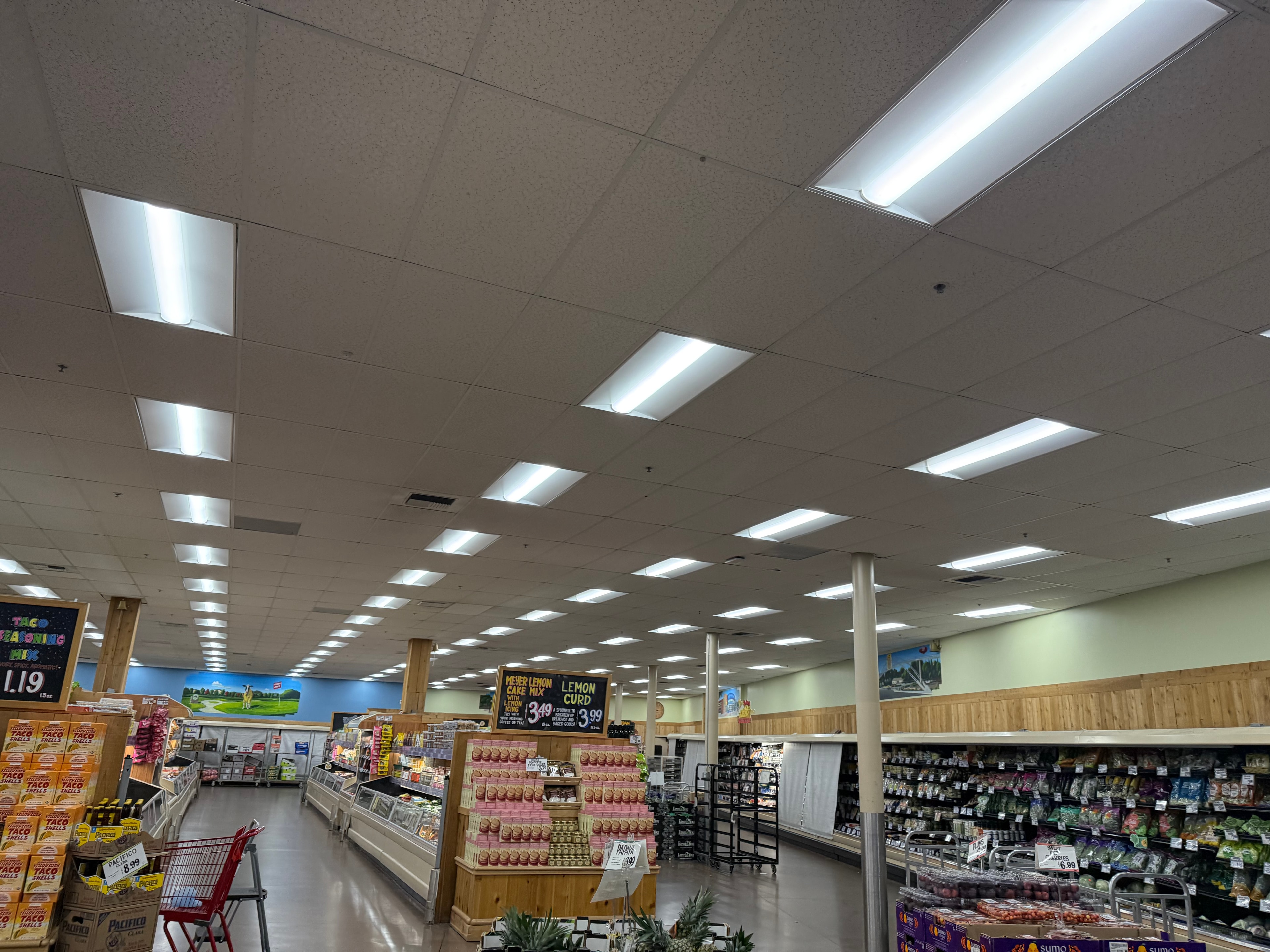 Grocery Store Ceiling Tile & Lighting