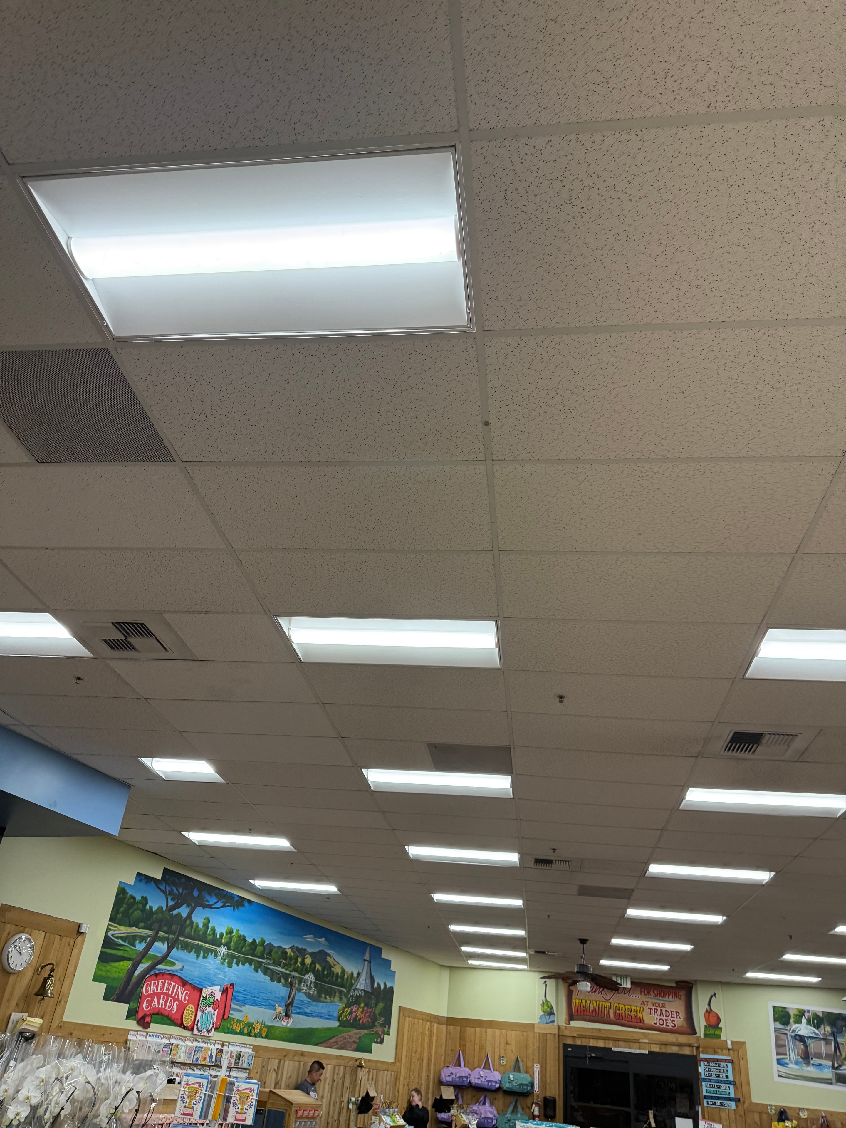 Retail Ceiling Panel Lighting Repair